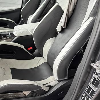 BMW Carbon Bucket Seat Side Waist Bolster Protector