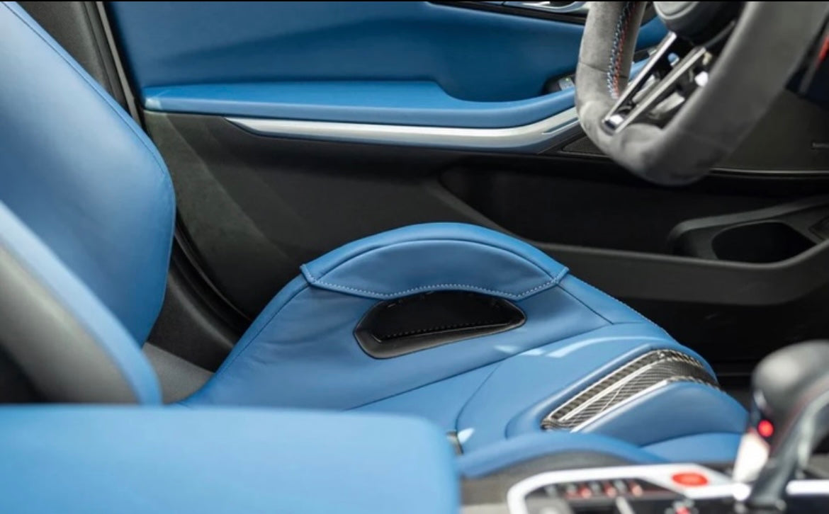 BMW Carbon Bucket Seat Handle Bolster Protector