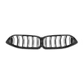 BMW F92/F93 Dry Carbon Fiber Front Grille