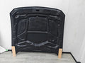 Ford S650 Mustang Carbon Fiber Shelby Super Snake Vented Hood