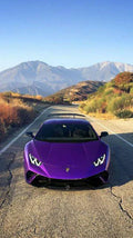 Lamborghini Huracan Forged Carbon Fiber Performante Style Wing